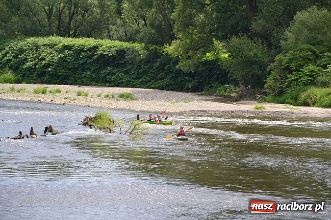 Zdjęcie w galerii na portalu naszraciborz.pl: Trwa Meander Orient Express wiadomości z regionu