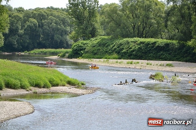 Zdjęcie w galerii na portalu naszraciborz.pl: Trwa Meander Orient Express wiadomości z regionu