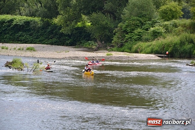 Zdjęcie w galerii na portalu naszraciborz.pl: Trwa Meander Orient Express wiadomości z regionu