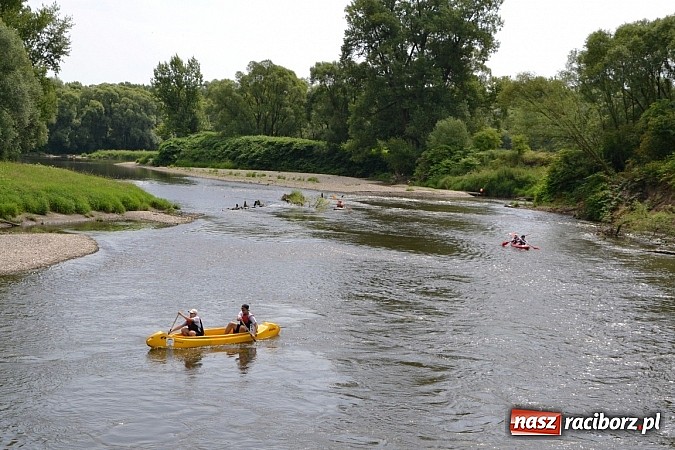 Zdjęcie w galerii na portalu naszraciborz.pl: Trwa Meander Orient Express wiadomości z regionu