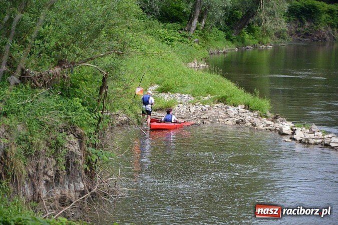 Zdjęcie w galerii na portalu naszraciborz.pl: Trwa Meander Orient Express wiadomości z regionu