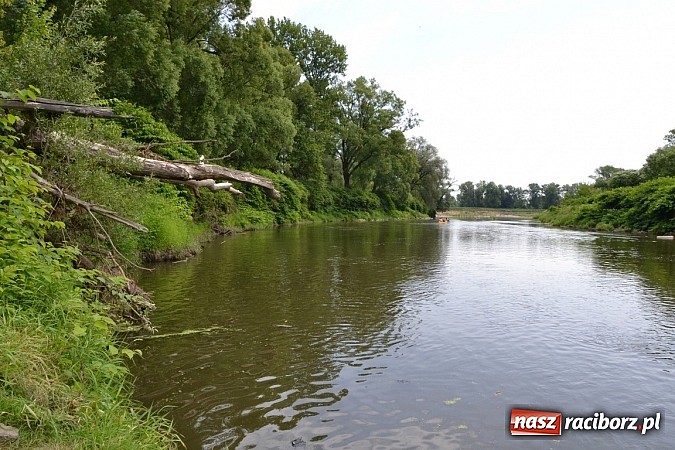 Zdjęcie w galerii na portalu naszraciborz.pl: Trwa Meander Orient Express wiadomości z regionu