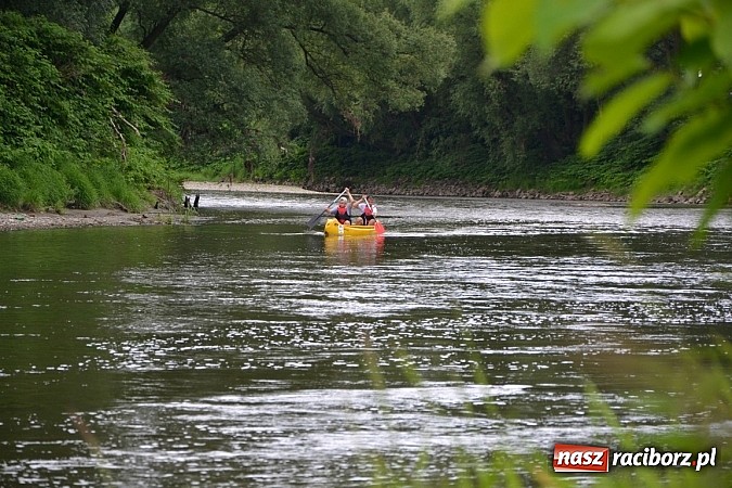 Zdjęcie w galerii na portalu naszraciborz.pl: Trwa Meander Orient Express wiadomości z regionu