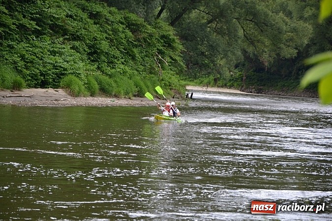 Zdjęcie w galerii na portalu naszraciborz.pl: Trwa Meander Orient Express wiadomości z regionu