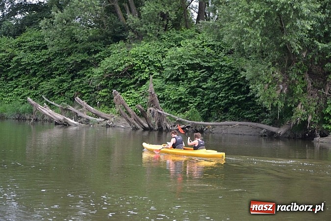 Zdjęcie w galerii na portalu naszraciborz.pl: Trwa Meander Orient Express wiadomości z regionu