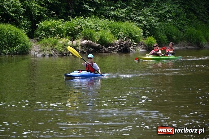 Zdjęcie w galerii na portalu naszraciborz.pl: Trwa Meander Orient Express wiadomości z regionu