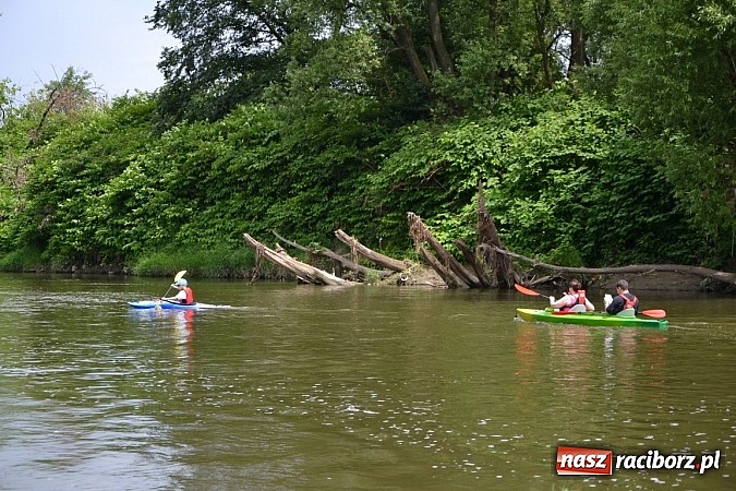 Zdjęcie w galerii na portalu naszraciborz.pl: Trwa Meander Orient Express wiadomości z regionu