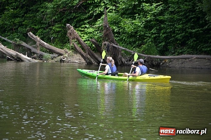 Zdjęcie w galerii na portalu naszraciborz.pl: Trwa Meander Orient Express wiadomości z regionu