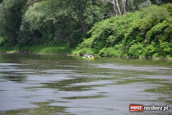 Zdjęcie w galerii na portalu naszraciborz.pl: Trwa Meander Orient Express wiadomości z regionu