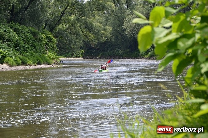 Zdjęcie w galerii na portalu naszraciborz.pl: Trwa Meander Orient Express wiadomości z regionu
