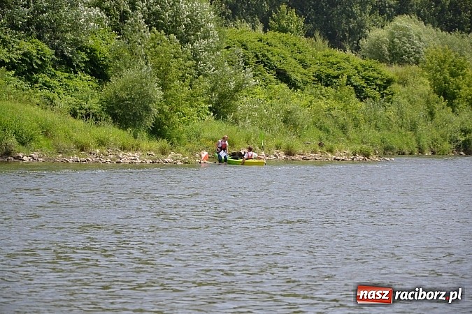 Zdjęcie w galerii na portalu naszraciborz.pl: Trwa Meander Orient Express wiadomości z regionu