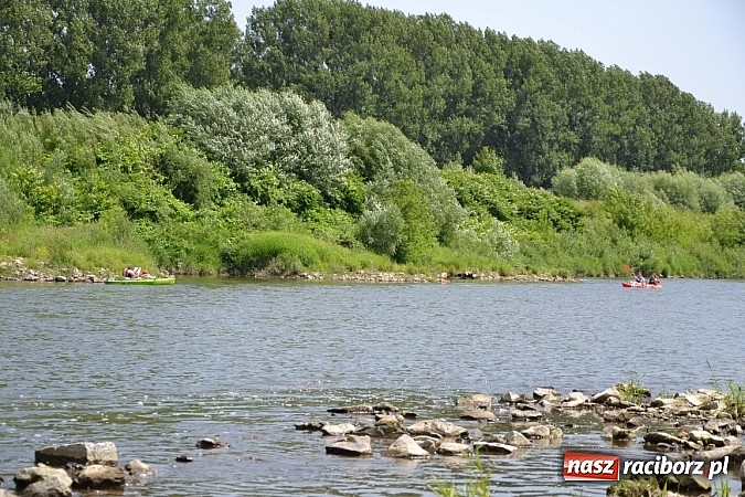 Zdjęcie w galerii na portalu naszraciborz.pl: Trwa Meander Orient Express wiadomości z regionu