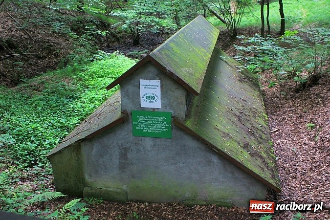 Zdjęcie w galerii na portalu naszraciborz.pl: Studnie, bunkry i mogiły…. Odkryj tajemnice Arboretum Bramy Morawskiej wiadomości z regionu