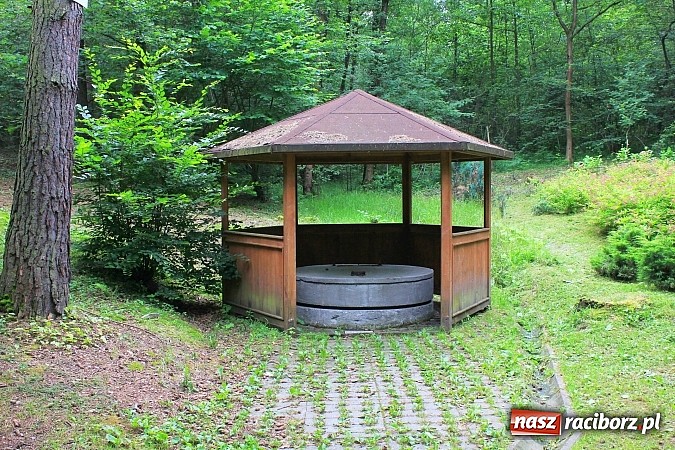 Zdjęcie w galerii na portalu naszraciborz.pl: Studnie, bunkry i mogiły…. Odkryj tajemnice Arboretum Bramy Morawskiej wiadomości z regionu