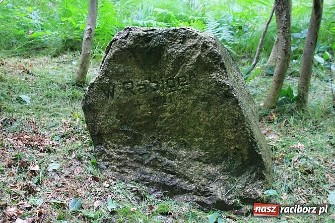 Zdjęcie w galerii na portalu naszraciborz.pl: Studnie, bunkry i mogiły…. Odkryj tajemnice Arboretum Bramy Morawskiej wiadomości z regionu