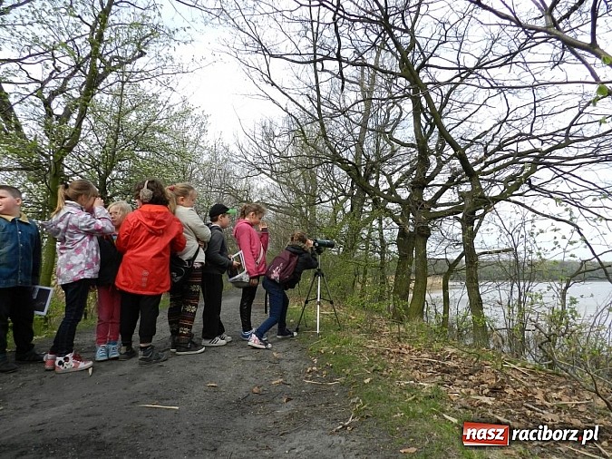 Zdjęcie w galerii na portalu naszraciborz.pl: Nauka w pigułce. Gdzie? Na zamku!  wiadomości z regionu