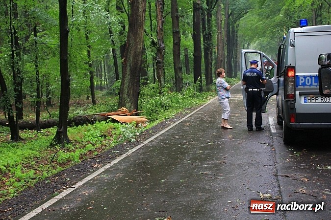 Zdjęcie w galerii na portalu naszraciborz.pl: 25 powalonych drzew, zalane piwnice i drogi, czyli skutki wczorajszej nawałnicy wiadomości z regionu