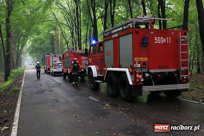 Zdjęcie w galerii na portalu naszraciborz.pl: 25 powalonych drzew, zalane piwnice i drogi, czyli skutki wczorajszej nawałnicy wiadomości z regionu
