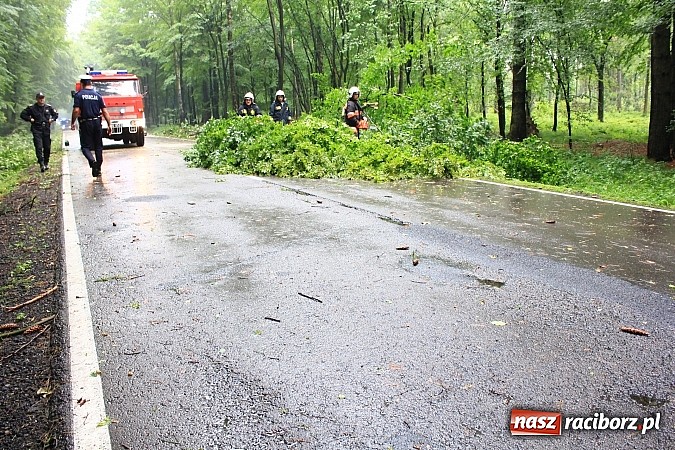 Zdjęcie w galerii na portalu naszraciborz.pl: 25 powalonych drzew, zalane piwnice i drogi, czyli skutki wczorajszej nawałnicy wiadomości z regionu