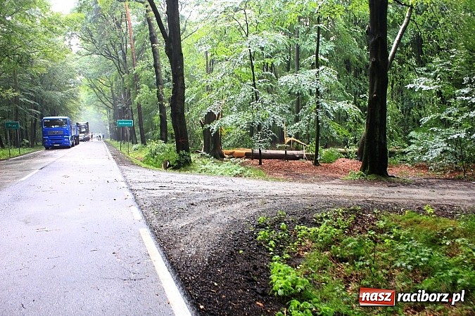 Zdjęcie w galerii na portalu naszraciborz.pl: 25 powalonych drzew, zalane piwnice i drogi, czyli skutki wczorajszej nawałnicy wiadomości z regionu