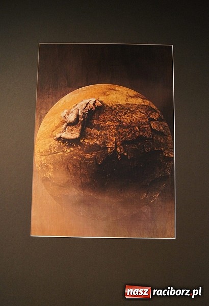 Zdjęcie w galerii na portalu naszraciborz.pl: Absolwenci edukacji artystycznej pokazali swoje prace wiadomości z regionu