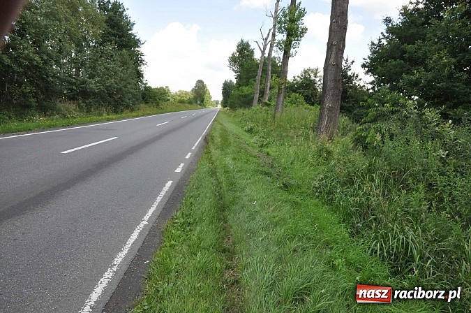 Zdjęcie w galerii na portalu naszraciborz.pl: Passat podczas wyprzedzania wypadł z drogi Babice-Markowice wiadomości z regionu