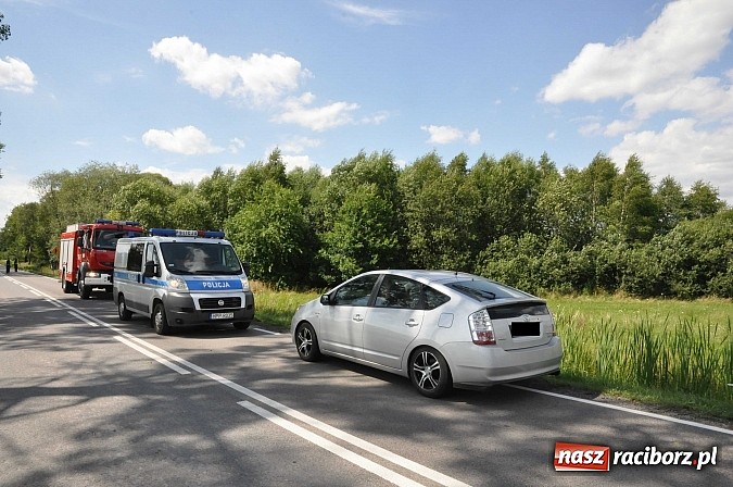 Zdjęcie w galerii na portalu naszraciborz.pl: 29-latek na motocyklu suzuki ranny na DW 919 na wysokości Małej Nędzy wiadomości z regionu