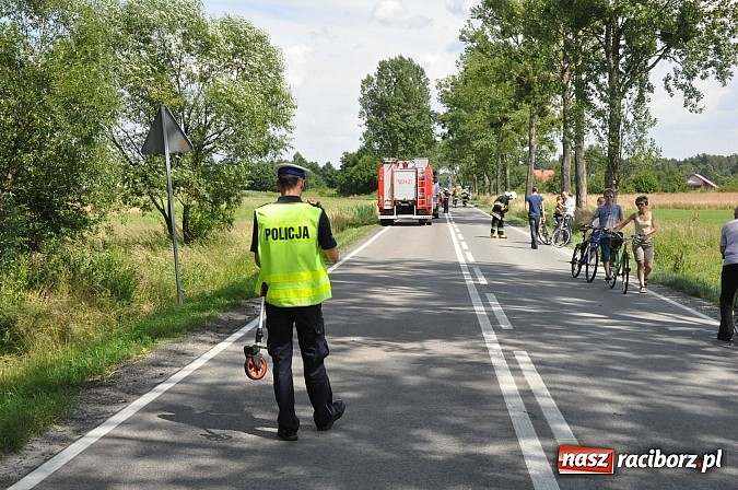 Zdjęcie w galerii na portalu naszraciborz.pl: 29-latek na motocyklu suzuki ranny na DW 919 na wysokości Małej Nędzy wiadomości z regionu