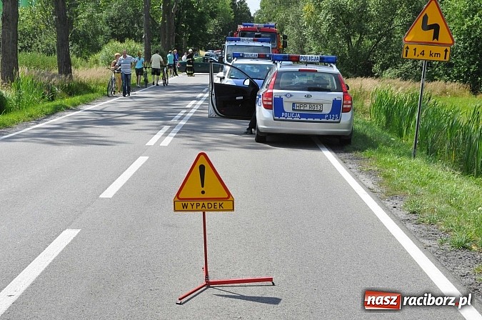 Zdjęcie w galerii na portalu naszraciborz.pl: 29-latek na motocyklu suzuki ranny na DW 919 na wysokości Małej Nędzy wiadomości z regionu