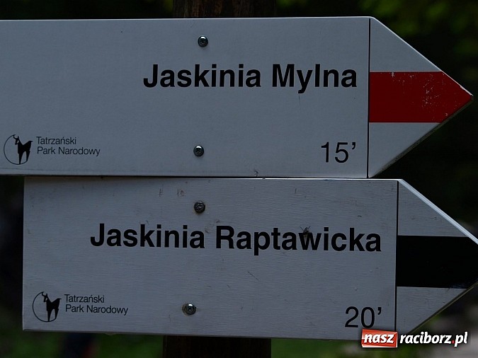 Zdjęcie w galerii na portalu naszraciborz.pl: Strefowicze na wycieczce w Zakopanem wiadomości z regionu