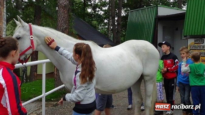 Zdjęcie w galerii na portalu naszraciborz.pl: Młodzież z Krzanowic na biwaku w Szymocicach wiadomości z regionu