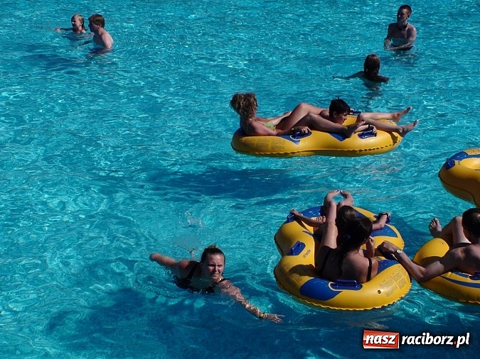 Zdjęcie w galerii na portalu naszraciborz.pl: Tancerze Źródła wrócili z festiwalu w Bułgarii wiadomości z regionu