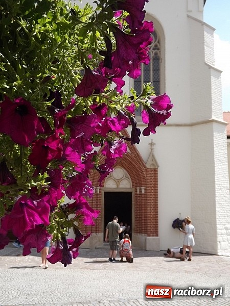 Zdjęcie w galerii na portalu naszraciborz.pl: Aparat fotograficzny to nie karabin maszynowy wiadomości z regionu