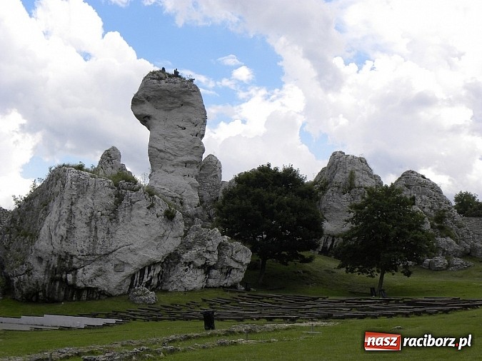 Zdjęcie w galerii na portalu naszraciborz.pl: MiPBP: Szlakiem Orlich Gniazd - wycieczka do Ogrodzieńca i Parku Miniatur wiadomości z regionu