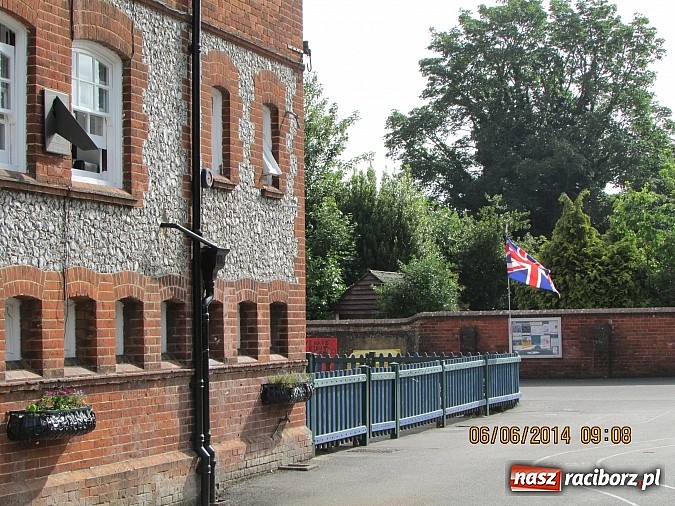 Zdjęcie w galerii na portalu naszraciborz.pl: O zwierzętach i środowisku naturalnym w ZSP nr 1 wiadomości z regionu