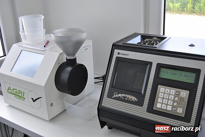 Zdjęcie w galerii na portalu naszraciborz.pl: Ruszył skup rzepaku wiadomości z regionu