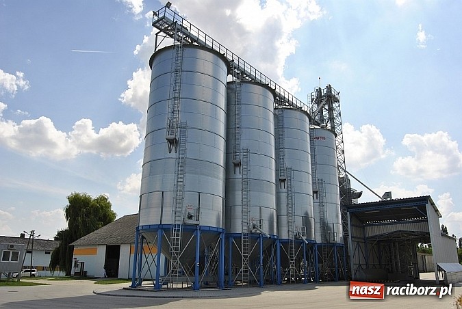 Zdjęcie w galerii na portalu naszraciborz.pl: Ruszył skup rzepaku wiadomości z regionu