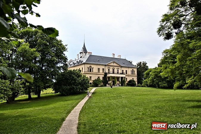 Zdjęcie w galerii na portalu naszraciborz.pl: Turystyka na weekend. Perły Czech w pobliżu Raciborza: zamek w Raduniu wiadomości z regionu