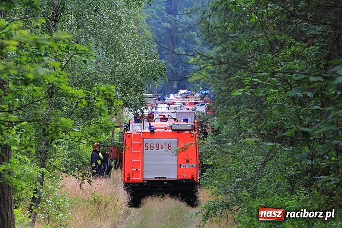 Zdjęcie w galerii na portalu naszraciborz.pl: Pożar w Nędzy przy szk&oacute;łce leśnej. Do akcji skierowano 6 zastęp&oacute;w straży i 2 dromadery wiadomości z regionu