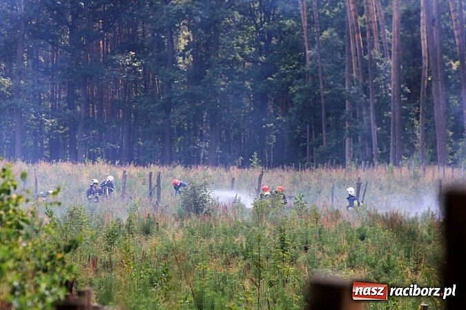Zdjęcie w galerii na portalu naszraciborz.pl: Pożar w Nędzy przy szk&oacute;łce leśnej. Do akcji skierowano 6 zastęp&oacute;w straży i 2 dromadery wiadomości z regionu