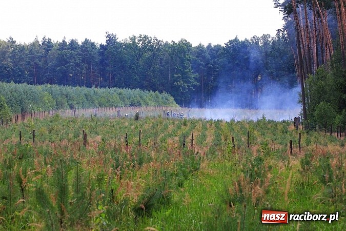 Zdjęcie w galerii na portalu naszraciborz.pl: Pożar w Nędzy przy szk&oacute;łce leśnej. Do akcji skierowano 6 zastęp&oacute;w straży i 2 dromadery wiadomości z regionu