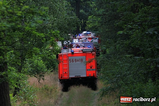Zdjęcie w galerii na portalu naszraciborz.pl: Pożar w Nędzy przy szk&oacute;łce leśnej. Do akcji skierowano 6 zastęp&oacute;w straży i 2 dromadery wiadomości z regionu