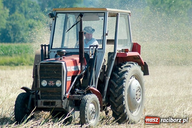 Zdjęcie w galerii na portalu naszraciborz.pl: Puchar Wójta 2014: Bieńkowice i Tworków w finale. Owsiszcze trzecie. Rywale zrezygnowali wiadomości z regionu