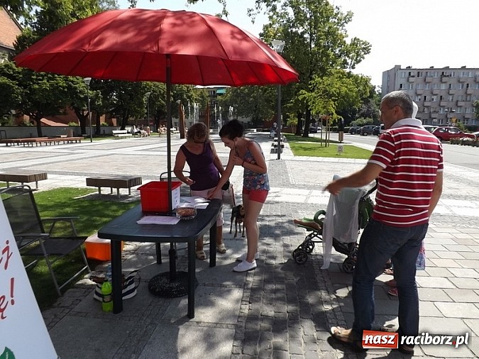 Zdjęcie w galerii na portalu naszraciborz.pl: Ranga problemów według raciborzan. Wyniki ankiety wiadomości z regionu
