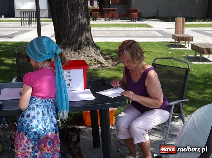 Zdjęcie w galerii na portalu naszraciborz.pl: Ranga problemów według raciborzan. Wyniki ankiety wiadomości z regionu