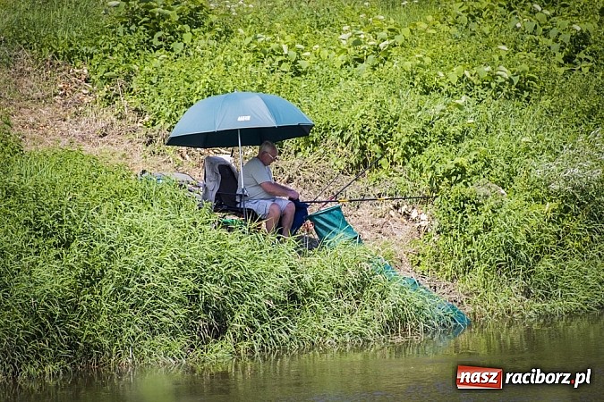 Zdjęcie w galerii na portalu naszraciborz.pl: Puchar Starosty w wędkarstwie spławikowym wręczony. Najlepszy Sebastian Omachel wiadomości z regionu