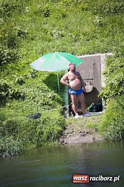 Zdjęcie w galerii na portalu naszraciborz.pl: Puchar Starosty w wędkarstwie spławikowym wręczony. Najlepszy Sebastian Omachel wiadomości z regionu