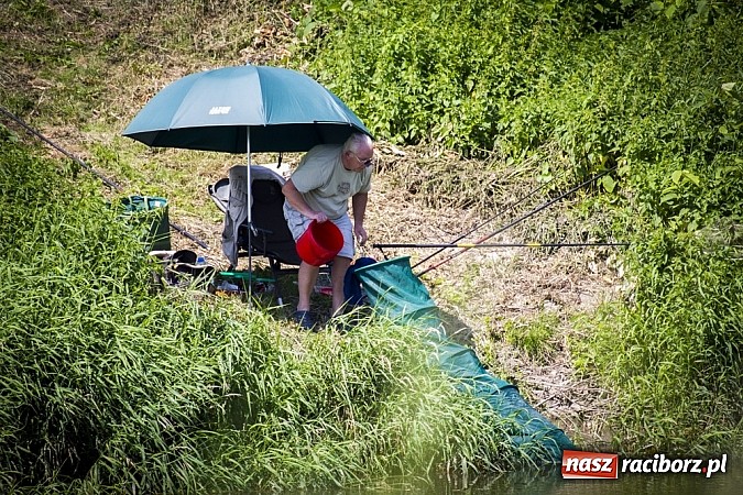 Zdjęcie w galerii na portalu naszraciborz.pl: Puchar Starosty w wędkarstwie spławikowym wręczony. Najlepszy Sebastian Omachel wiadomości z regionu