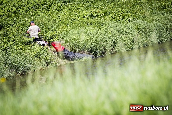Zdjęcie w galerii na portalu naszraciborz.pl: Puchar Starosty w wędkarstwie spławikowym wręczony. Najlepszy Sebastian Omachel wiadomości z regionu