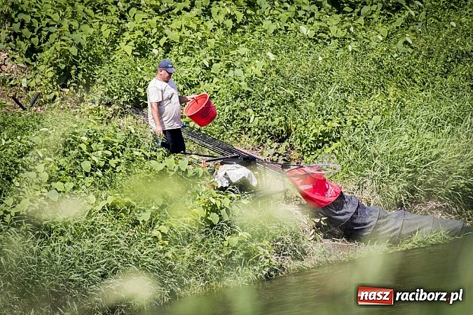 Zdjęcie w galerii na portalu naszraciborz.pl: Puchar Starosty w wędkarstwie spławikowym wręczony. Najlepszy Sebastian Omachel wiadomości z regionu